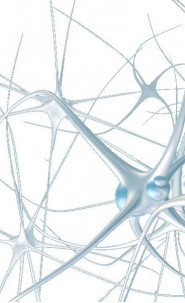 Neurodot  s.r.o.