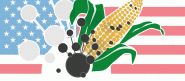 BIOMIN Czech s.r.o.