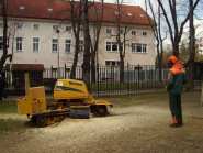 PAVEL WÁGNER