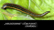Biokado s.r.o.