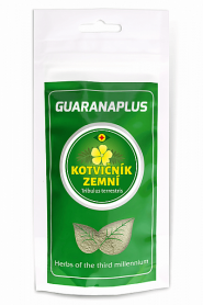 Zdeňka Lantová