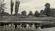 Antikomplex - hnutí proti xenofobii, z.s.