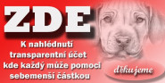 Nadační fond JV a JV