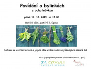 Za Opavu, z.s.