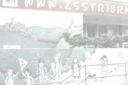 Základní škola Ústí nad Labem, Stříbrnická 3031/4, příspěvková organizace