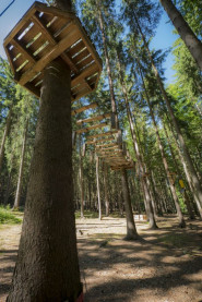 Lázeňské lesy Karlovy Vary, příspěvková organizace