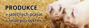 Lubská zemědělská, a.s.