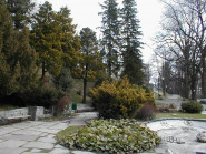 Ivo Geršic
