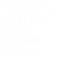 Tomáš Čech