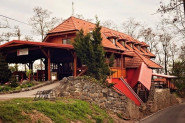 Milan Vašíček