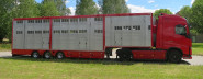 HR Partner CZE s.r.o.