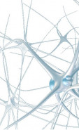 Neurodot  s.r.o.