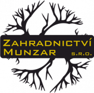 Vít Munzar