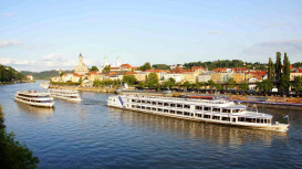 V. Volfa 1378/19, 37005 České Budějovice
