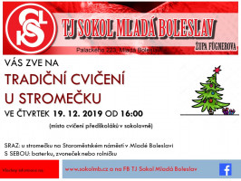 Palackého 223, 29301 Mladá Boleslav